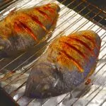 Grillad guldsparid