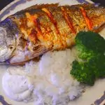 Vår favoritfisk: dourada