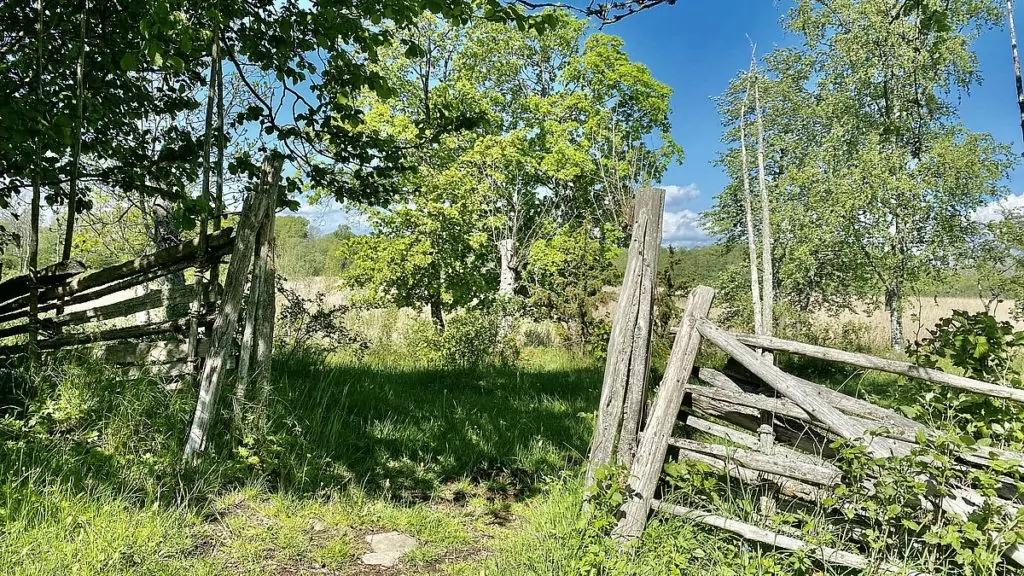 Riddersholms naturreservat