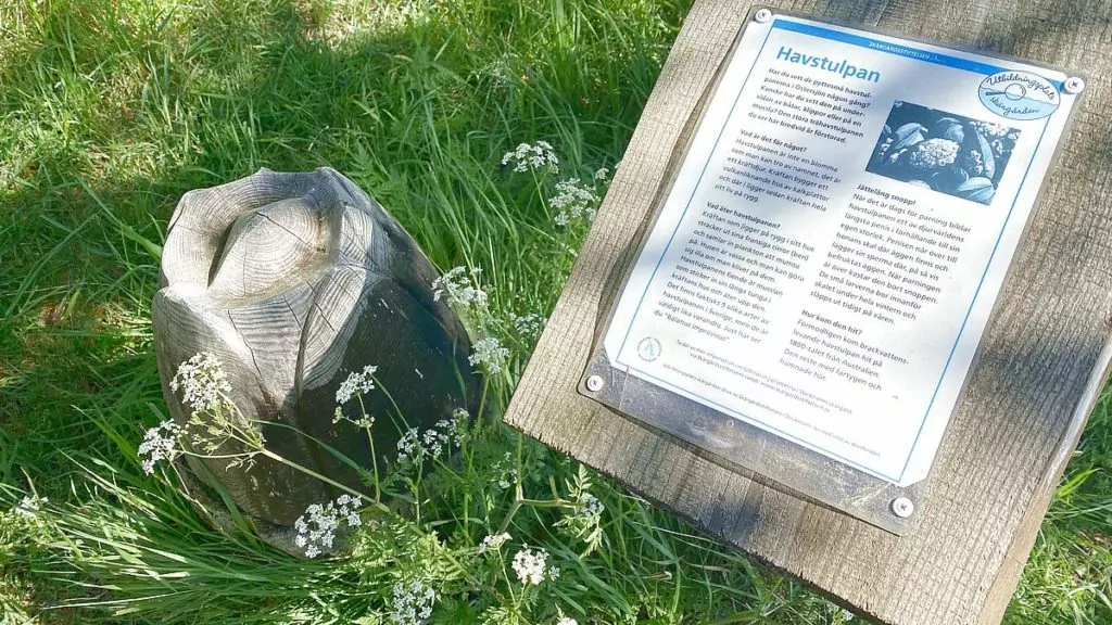 Naturstig i Riddersholms naturreservat