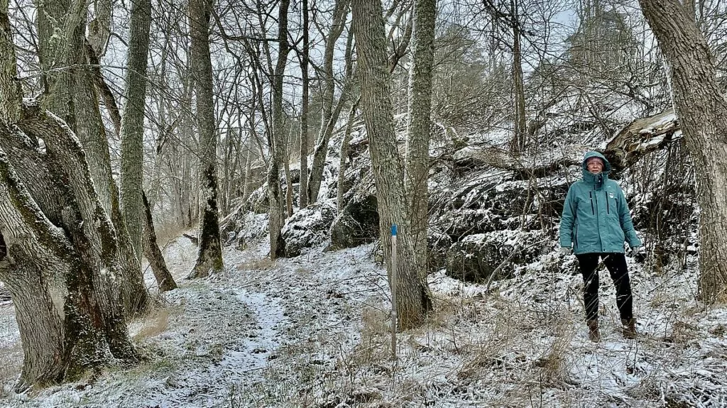 Nynäs naturreservat