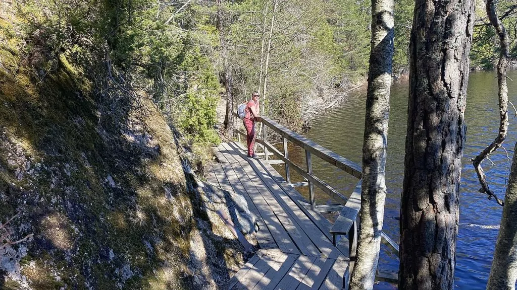 Helena i Tyresta nationalpark