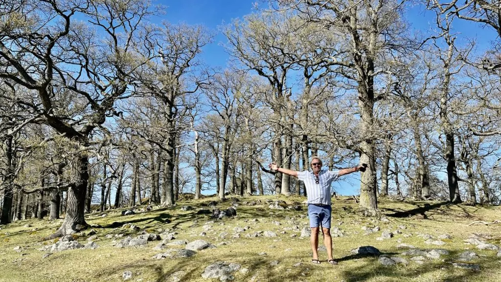 Att göra i Mariefred - Hjorthagen