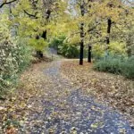Att blogga varje dag – några reflektioner