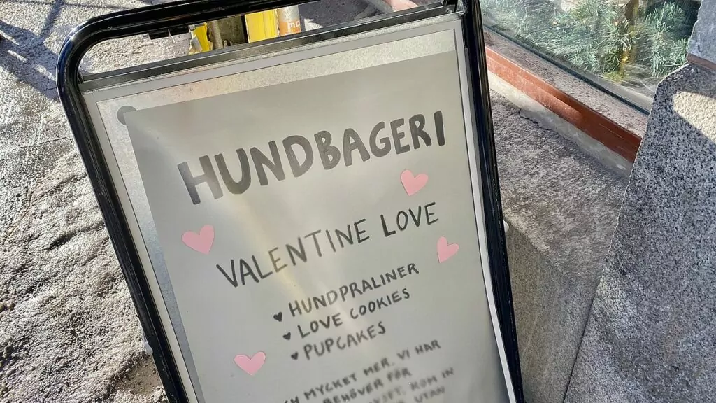 hundbageri