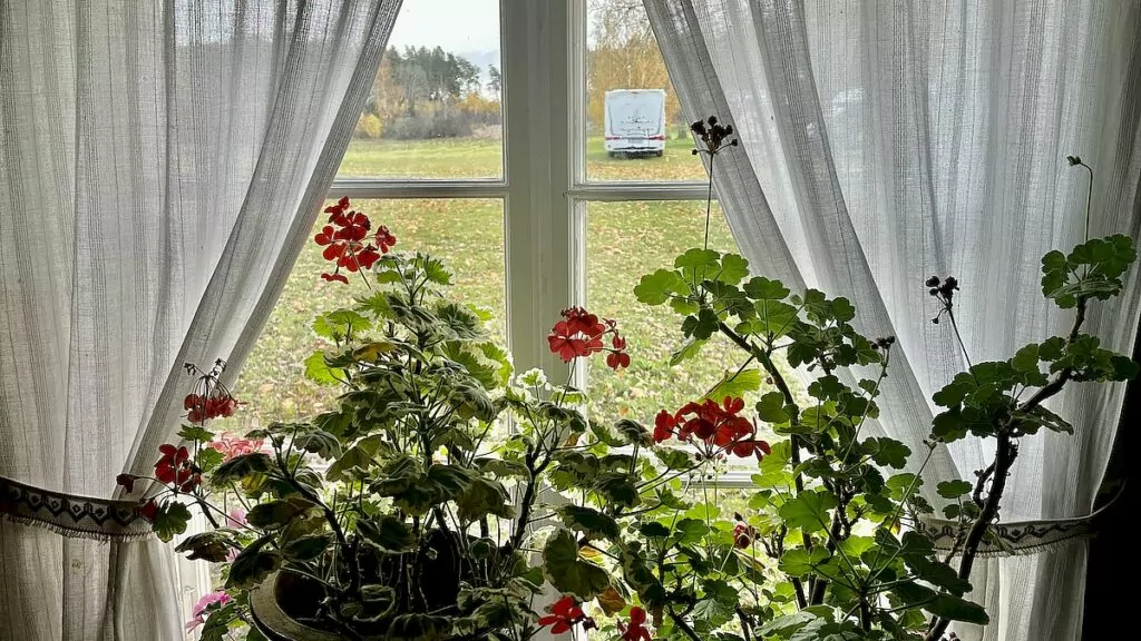 Kvarngården i Knivsta - utsikt genom fönster