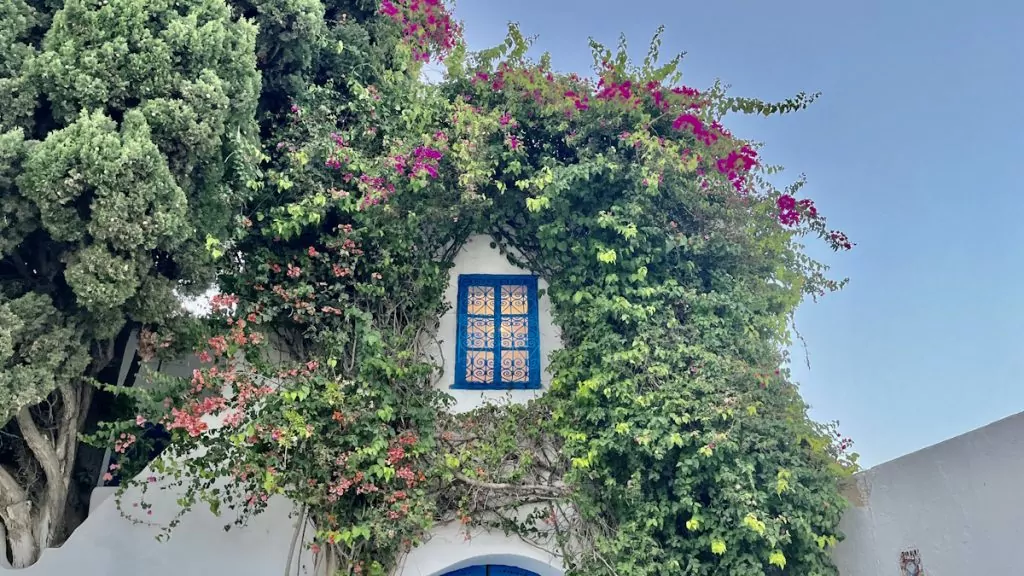 Sidi Bou said