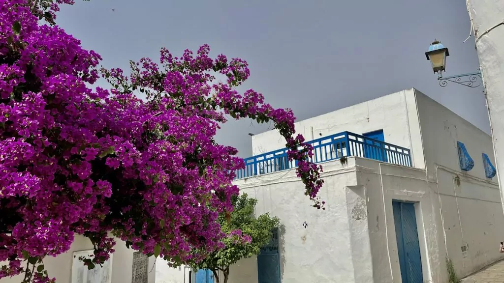 Sidi Bou said