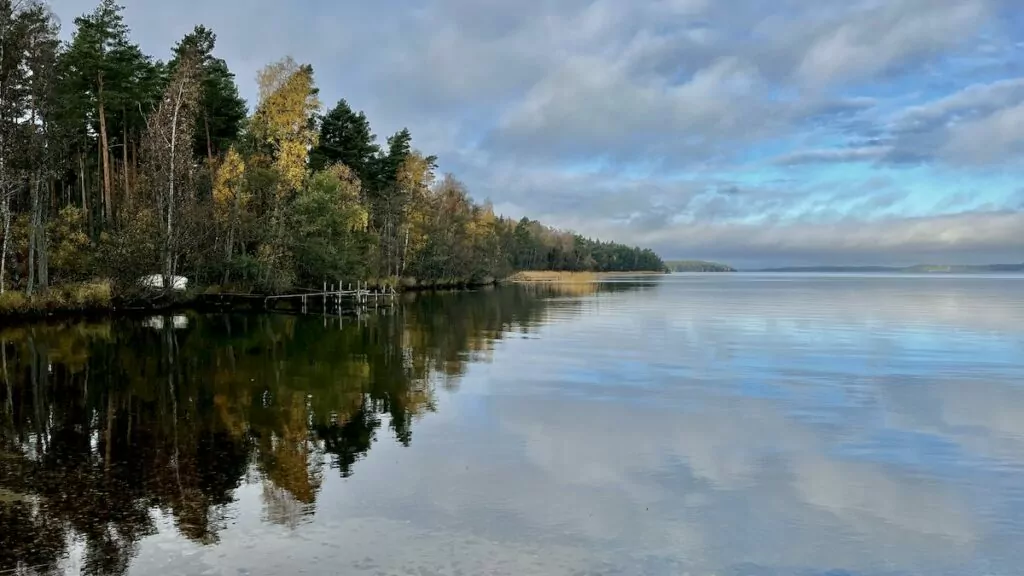 Fiske i Mälaren