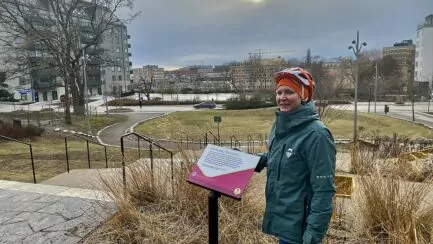 Sundbyberg i litteraturen