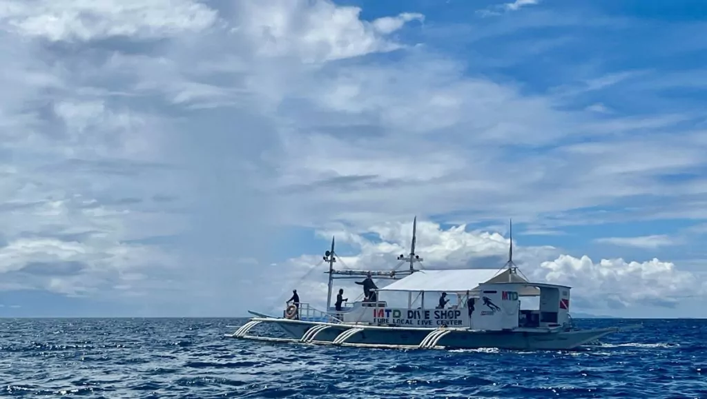 Att göra på Malapascua i Filippinerna - dykning