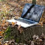 Läser folk bloggar 2019? – om svenskar och internet