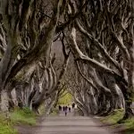 Inför Game of Thrones säsong 8 – stor guide