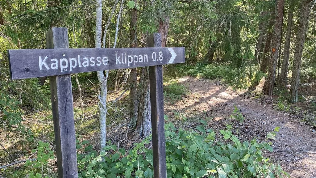 Kapplasse klippan