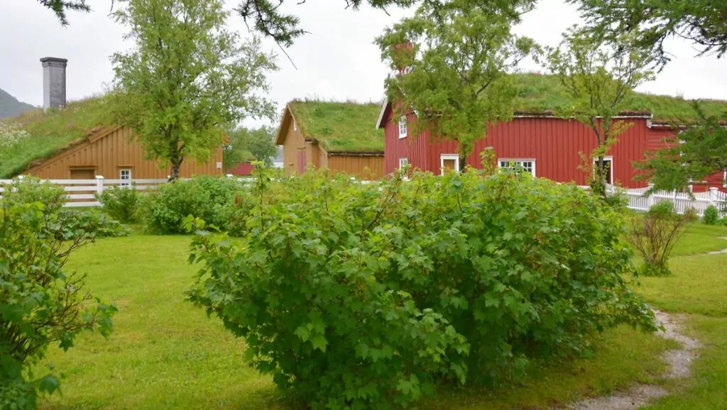 Kjerringoy i Nordndnorge