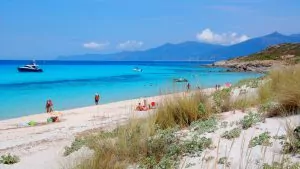 Saleccia beach