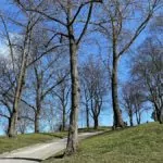 7 parker på Kungsholmen i Stockholm – och en badplats