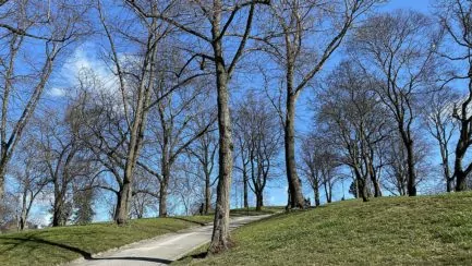 Parker på Kungsholmen - Kronobergsparken