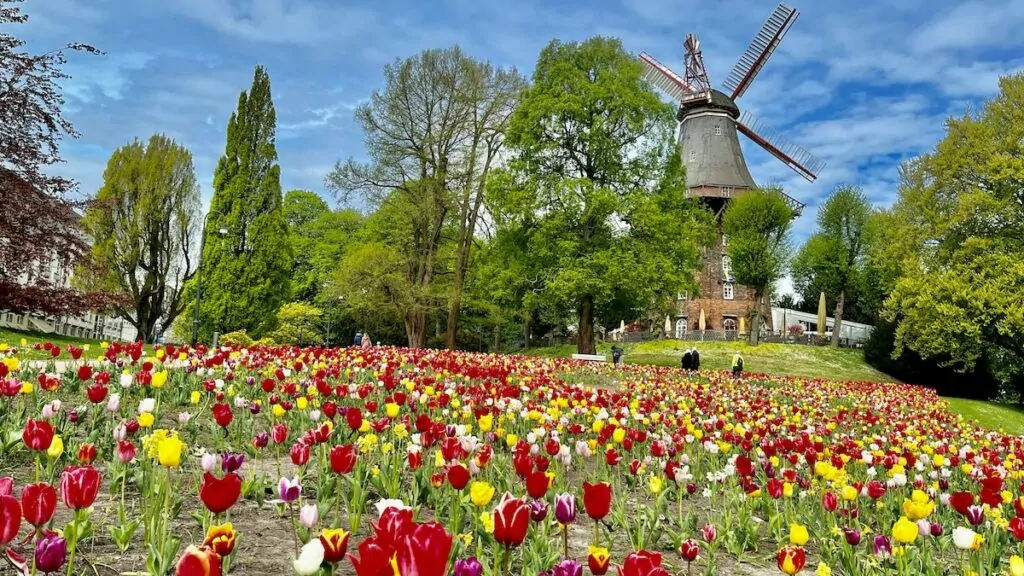 Göra i Bremen - kvarn