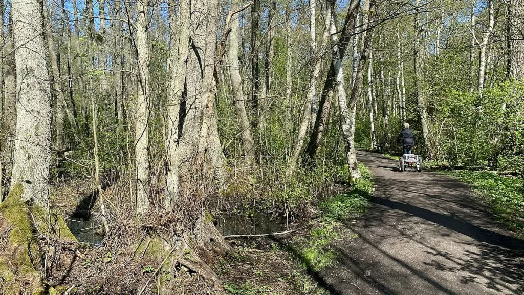 Kyrksjölötens naturreservat 