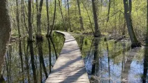 Kyrksjölötens naturreservat