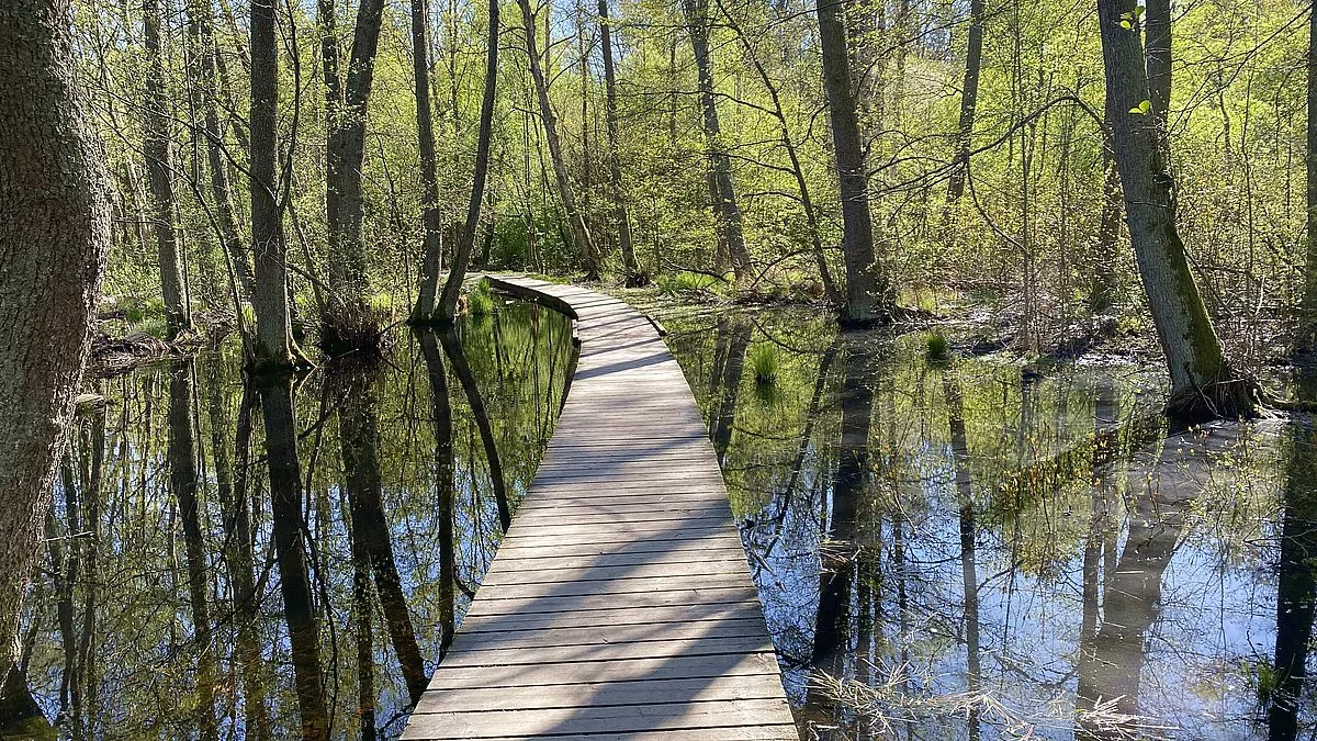 Kyrksjölötens naturreservat