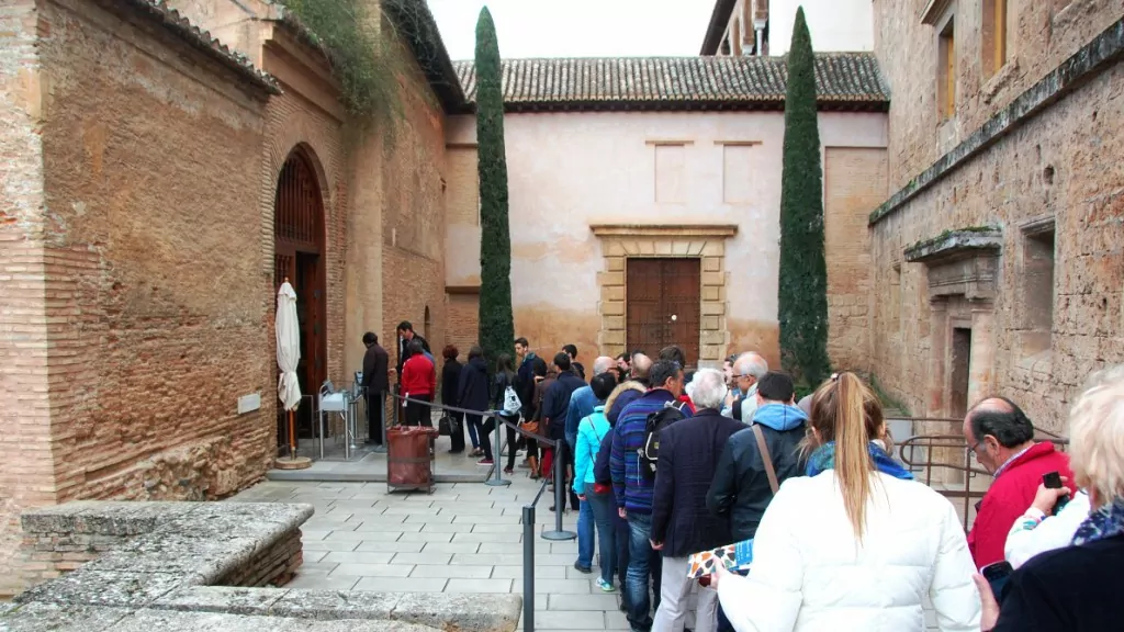 Köer, köer och köer i Alhambra