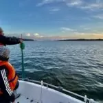 Fiska med nät i Mälaren – ett fiskeäventyr