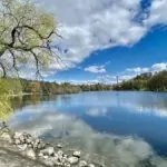 Lötsjön och Råstasjön – natur i Solna och Sundbyberg