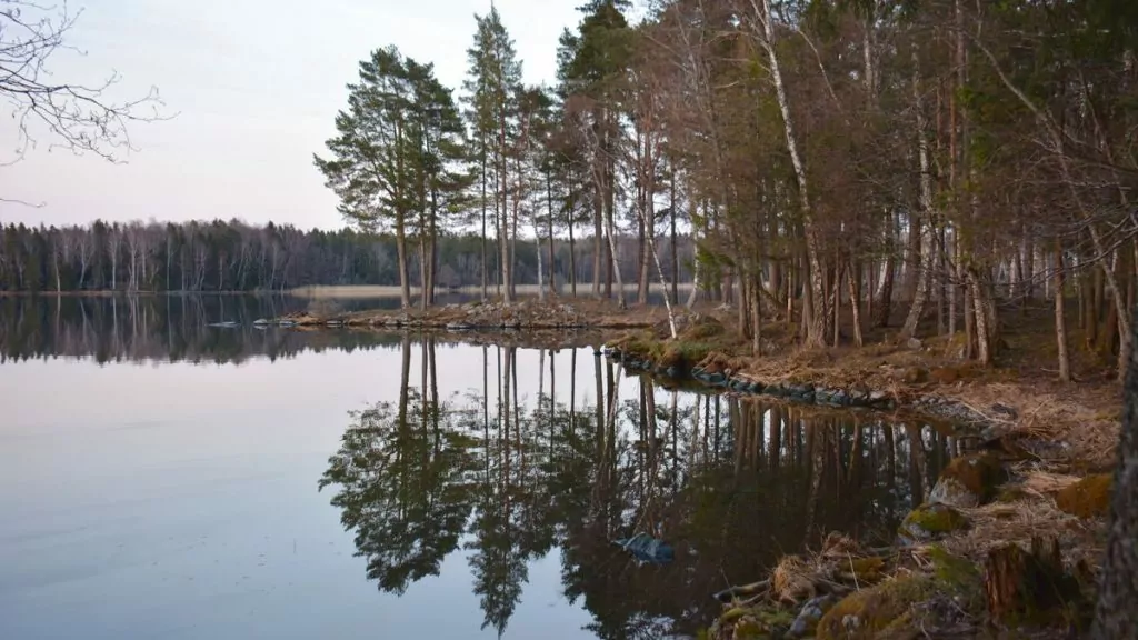 svensk natur