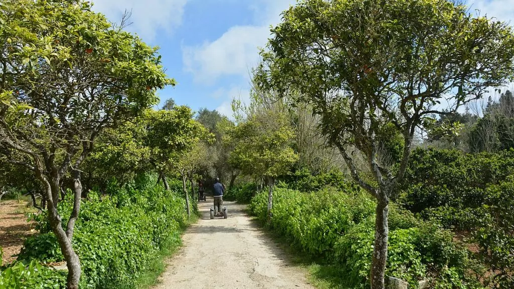 Segway på Malta