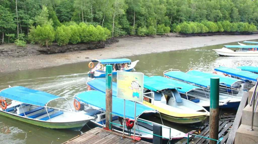 Mangrove båttur