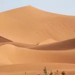 I Saharas öken