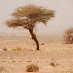 Marockos landskap