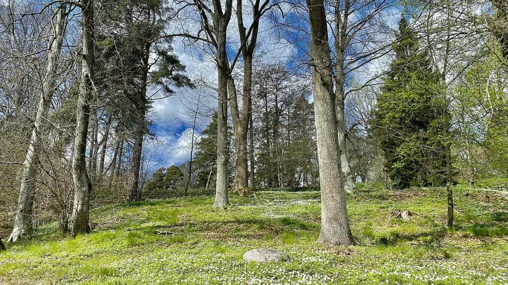 Göra i Jönköping - natur