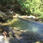 Moppetur