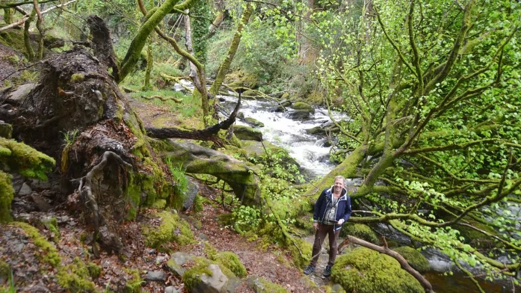 Natur Killarney