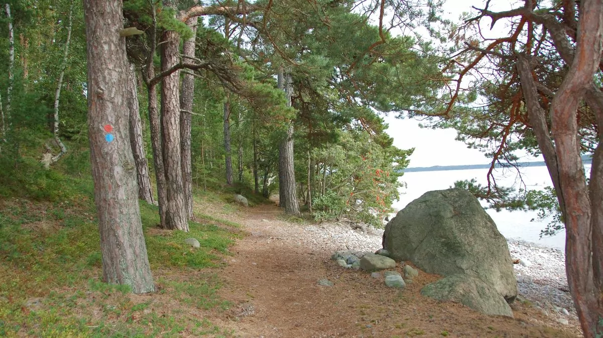 Natur i Gålö