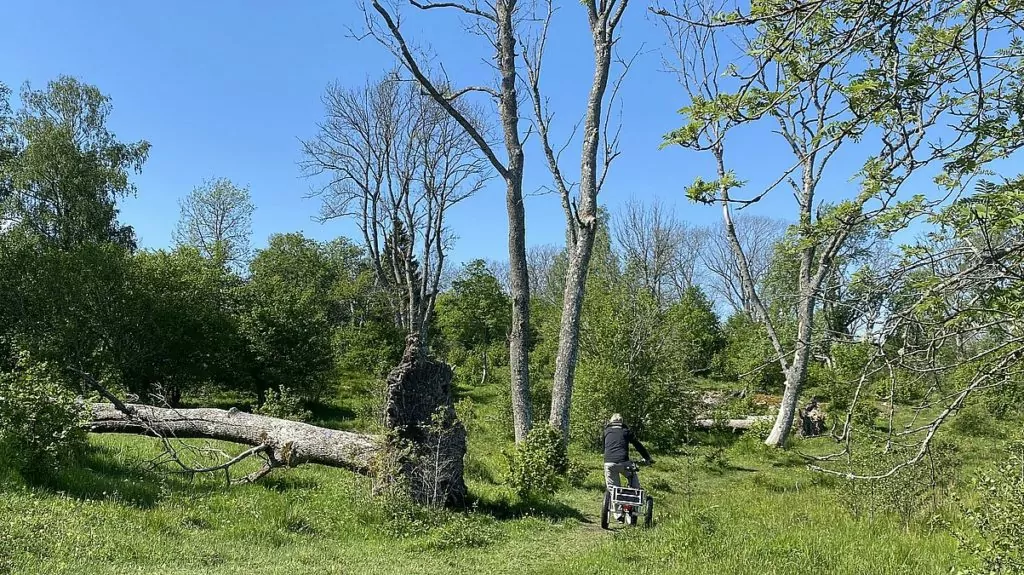 Riddersholms naturreservat