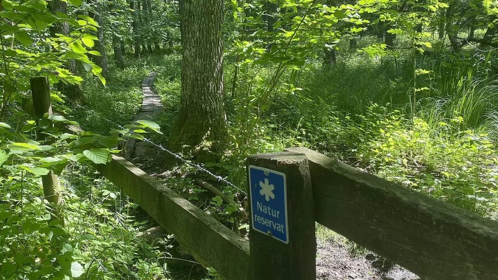 Norr Malma naturreservat, nära Svanberga badplats