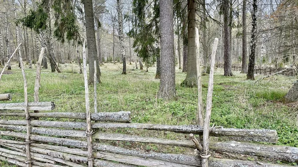 Gamla Linköping naturreservat