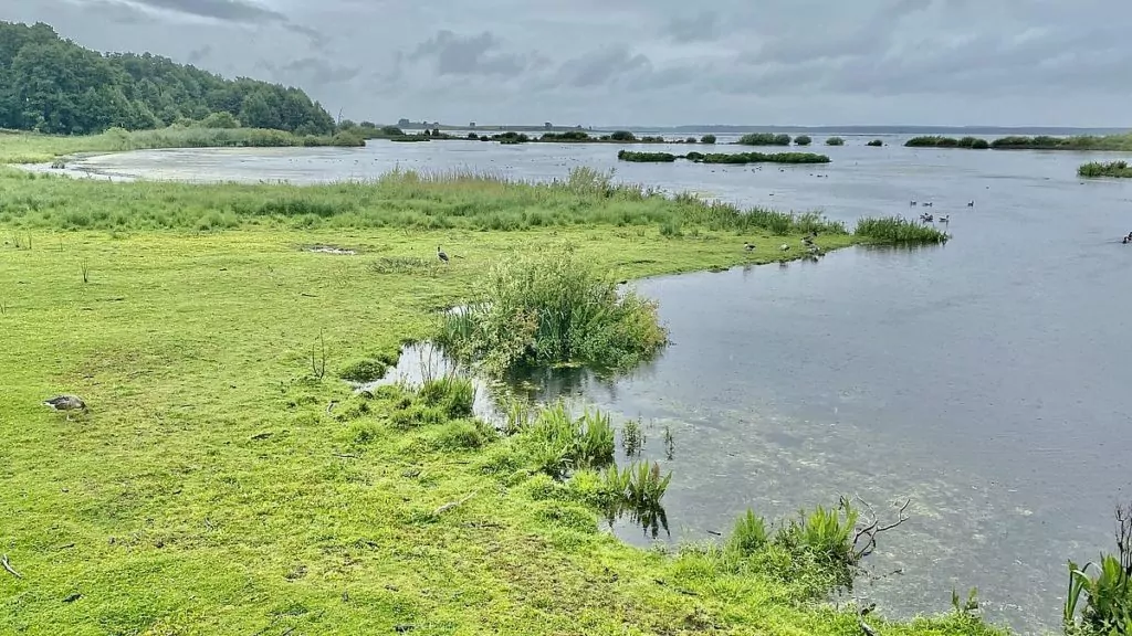 Naturum Hornborgarsjön