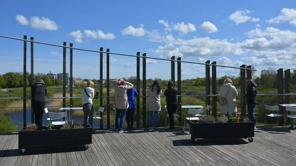 Göra i Kristianstad? Naturum Vattenriket