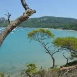Ön Porquerolles i Frankrike – guldöar på franska rivieran