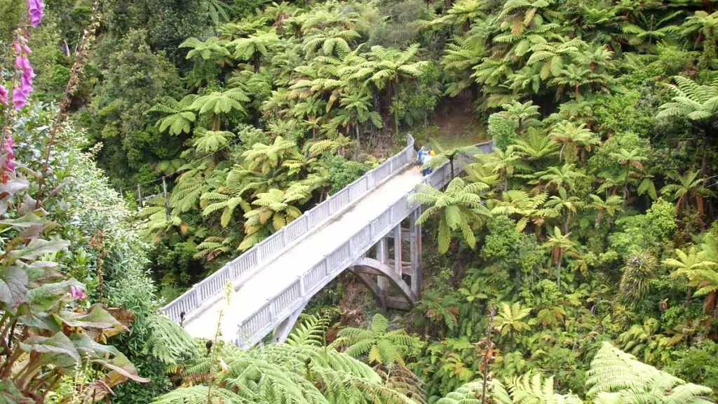 Bron till ingenstans, Nya Zeeland