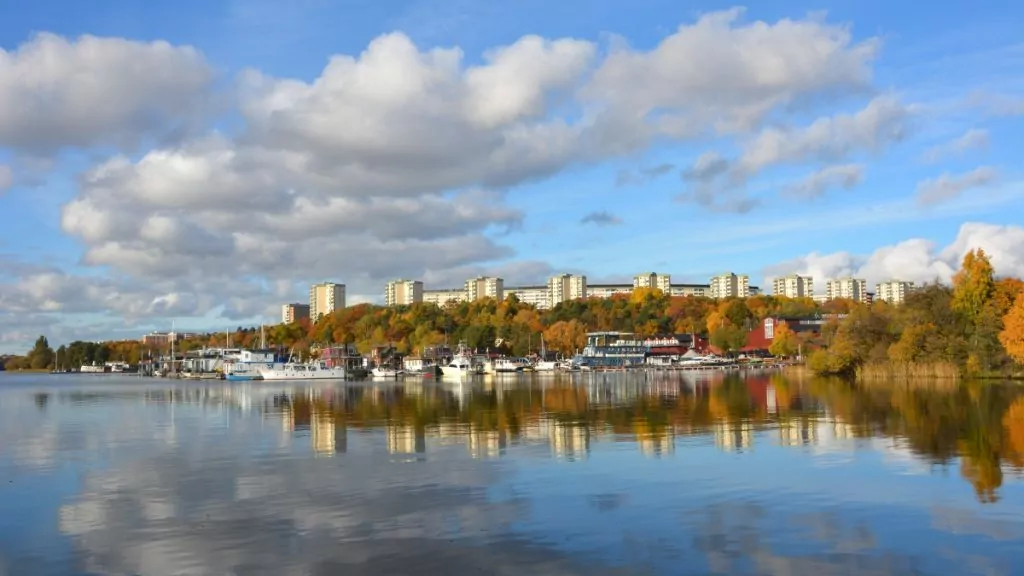 Pampas marina Stockholm