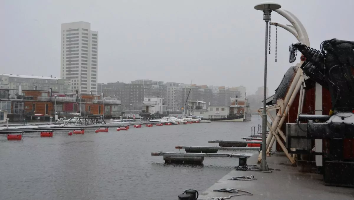 Novemberrusk i Pampas marina