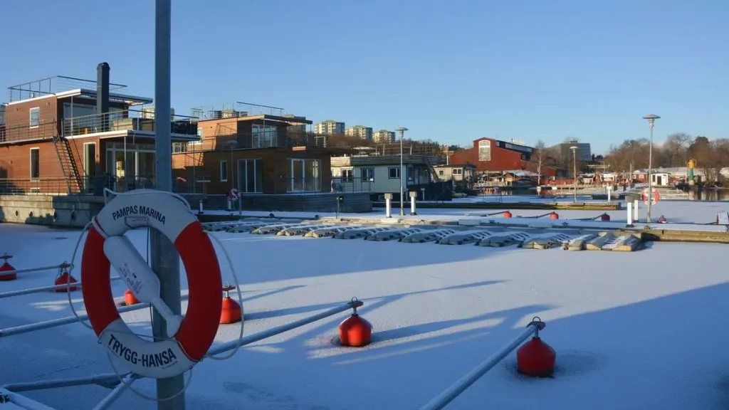 Snö i Stockholm - Pampas marina vinter