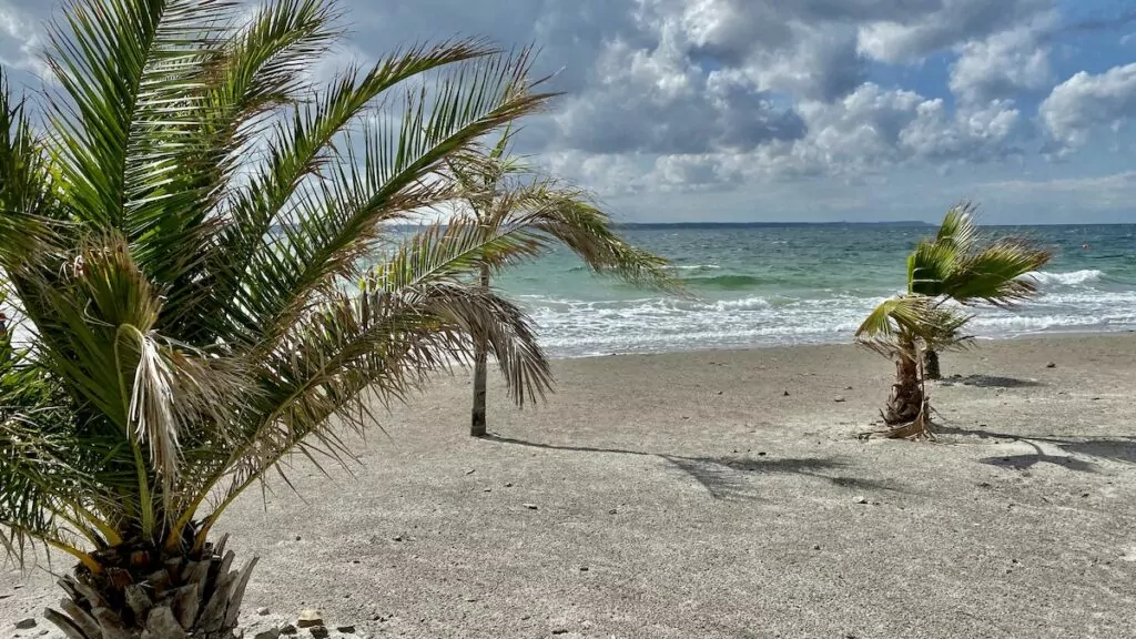 Göra i Helsingborg - Tropical Beach