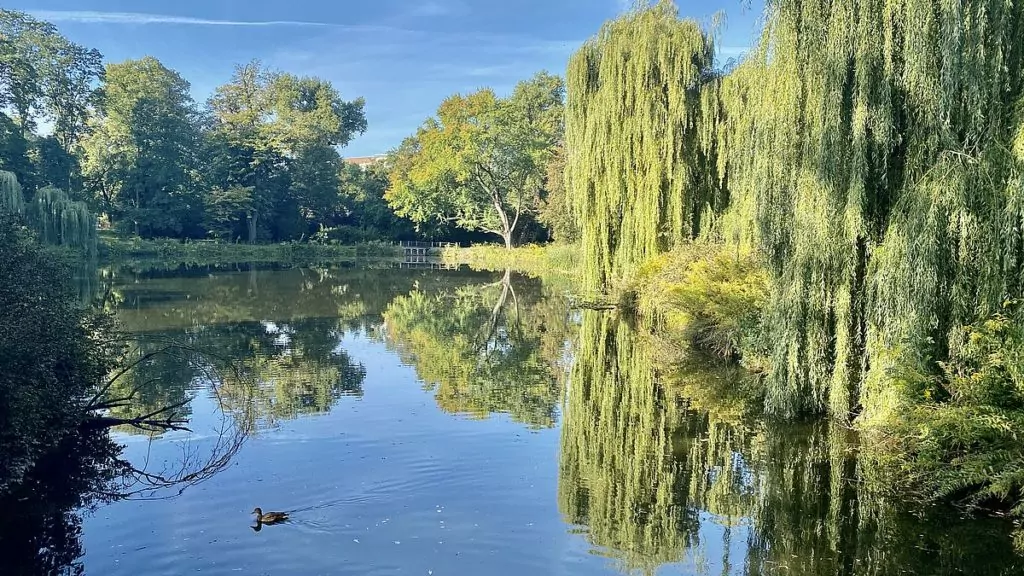Park im Adama Mickiewicza